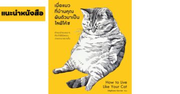 เมื่อแมวที่บ้านคุณผันตัวเองมาเป็นไลฟ์โค้ช - How to Live Like Your Cat - ภาพที่ 1