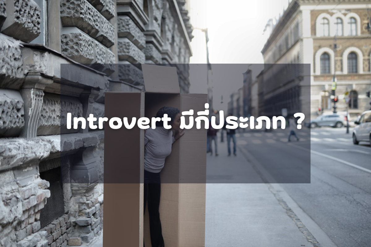 Introvert มีกี่ประเภท - Introvert - ภาพที่ 1